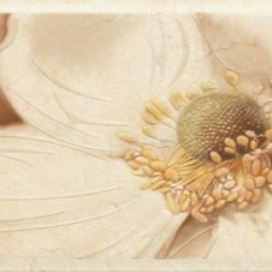 Gạch ốp tường Trường Thịnh CREAM MARFIL 26103TA02/C